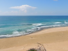 Views of the coast from the sand dune